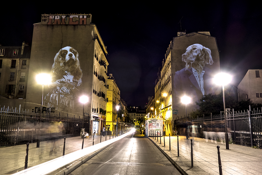Street Mapping By Julien NONNON Le Setter et le Cavalier King Charles - Paris FRANCE - Juin 2015